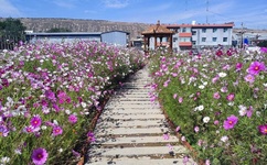 亚洲偷自偷白图片